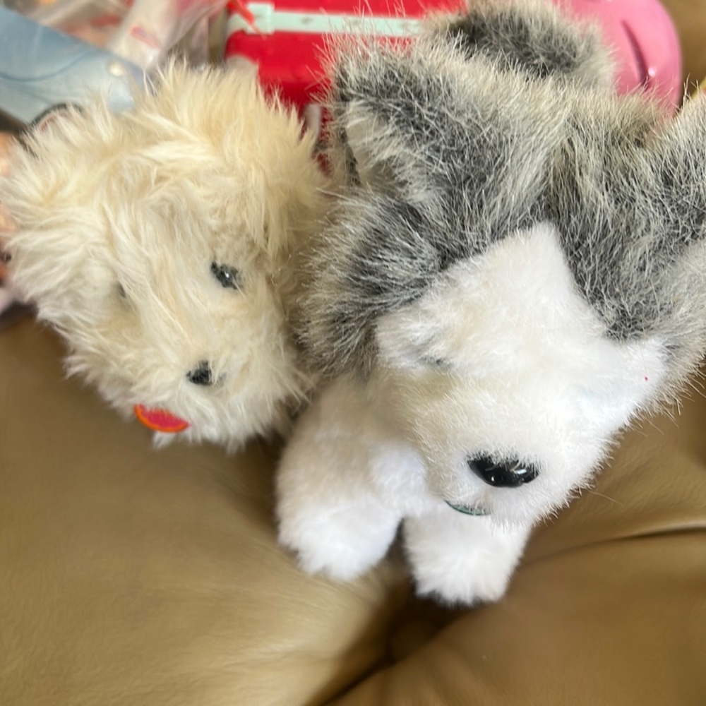 American girl pets